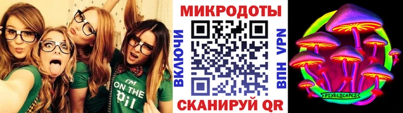 OMG как войти  как найти закладки  Кедровый  Псилоцибиновые грибы Psilocybe 